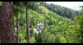 The Himalayan Stay Bnb